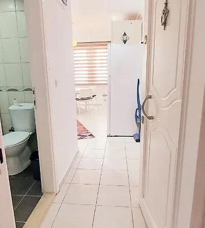 1 ألانيا